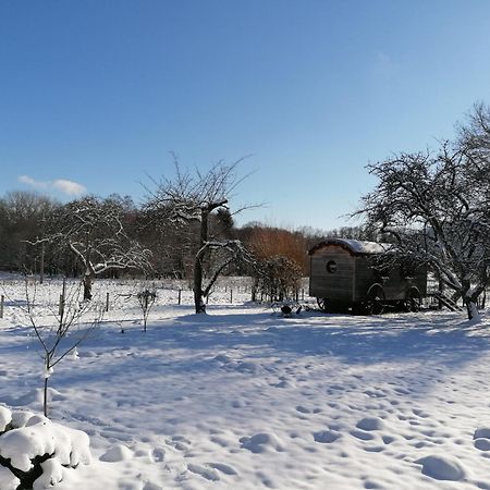 Bed and Breakfast Roulotte Le Temps De Rever Saint-Michel-sur-Meurthe Exterior foto