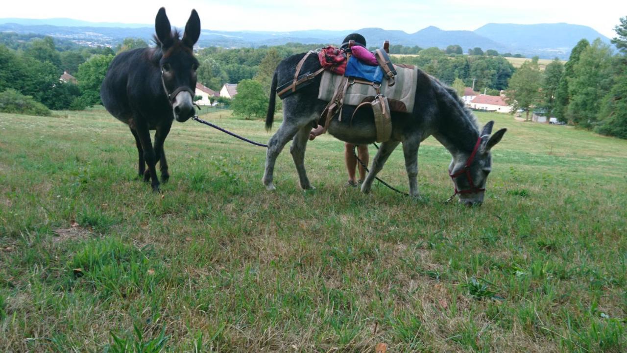 Bed and Breakfast Roulotte Le Temps De Rever Saint-Michel-sur-Meurthe Exterior foto